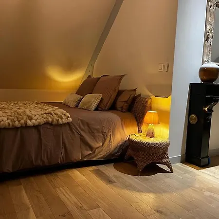 Du Vieux Chateau Лез-Андели