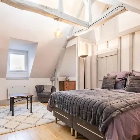 Du Vieux Chateau Лез-Андели